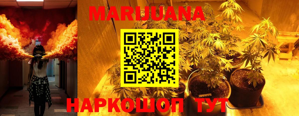 Конопля OG Kush Гудермес
